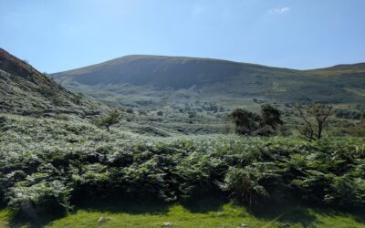 Wales, England