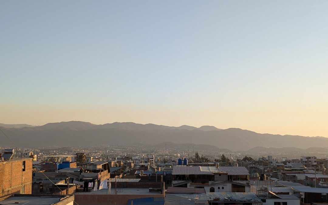 Beauty Amongst the Rubble