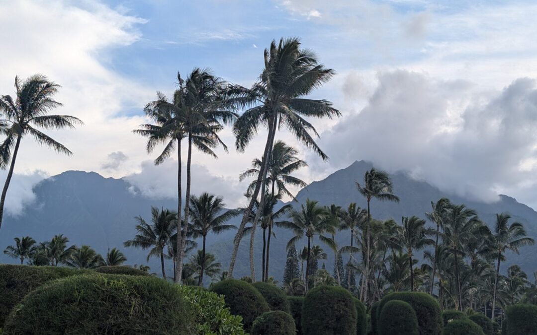 Kauai Didn’t Go as Planned —